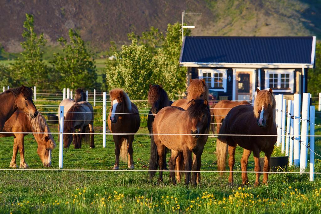 Akurgerthi Guesthouse 2 - Country Life Style Olfus Kültér fotó
